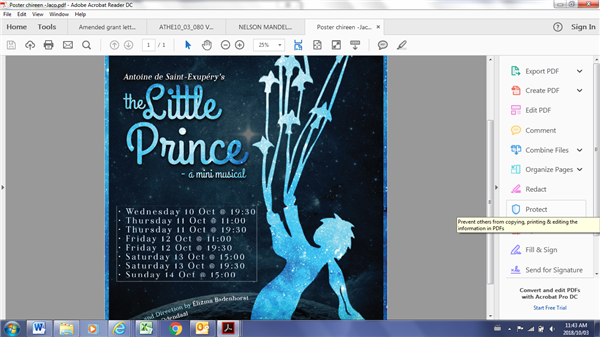 THE LITTLE PRINCE - a mini musical 